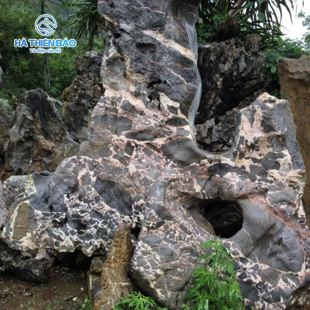 ĐÁ DA BÁO - Hình ảnh 2