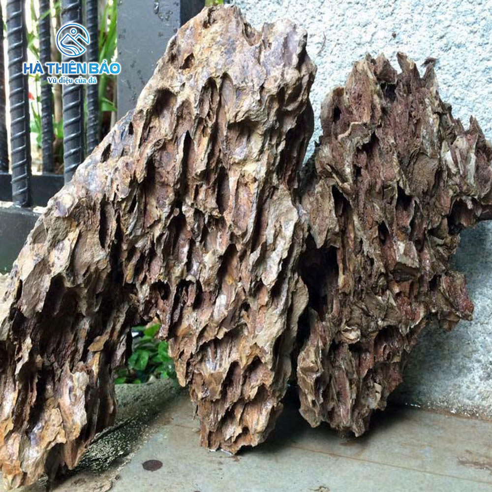 ĐÁ TIGER - Hình ảnh 6