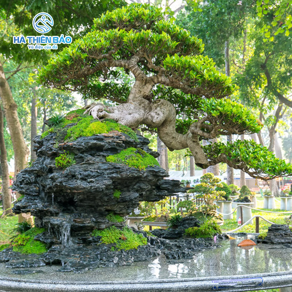 ĐÁ XẾP LỚP - Hình ảnh 4