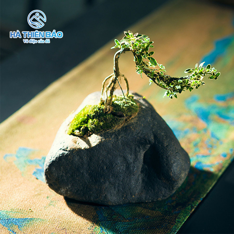 ĐÁ CUỘI - Hình ảnh 5