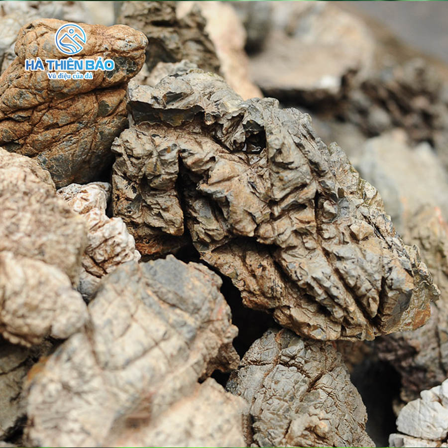 ĐÁ DA VOI - Hình ảnh 2