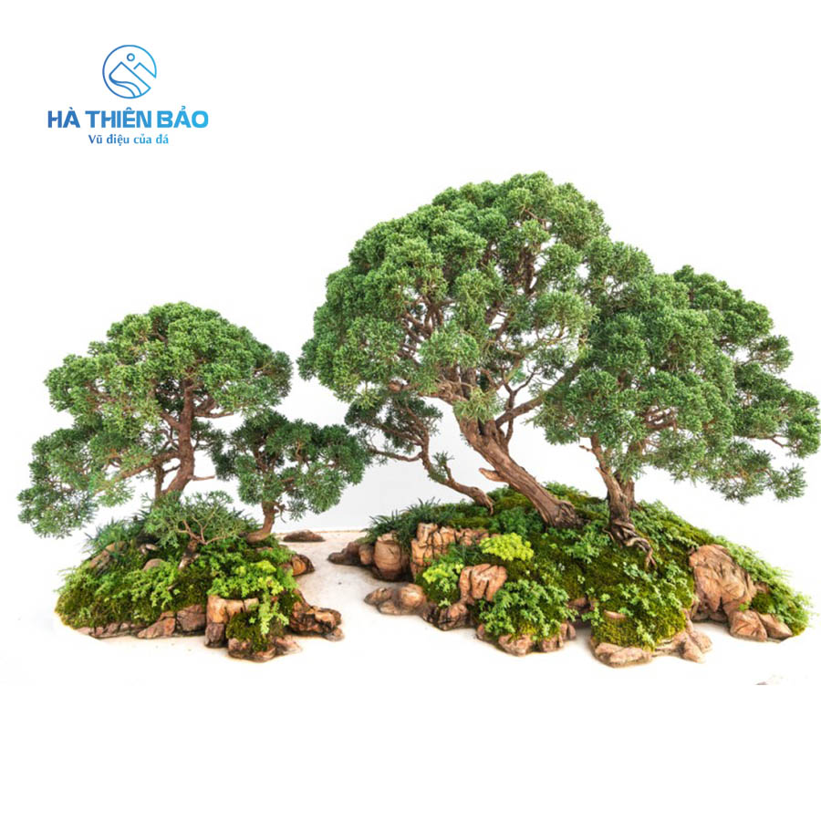 ĐÁ DA VOI - Hình ảnh 7