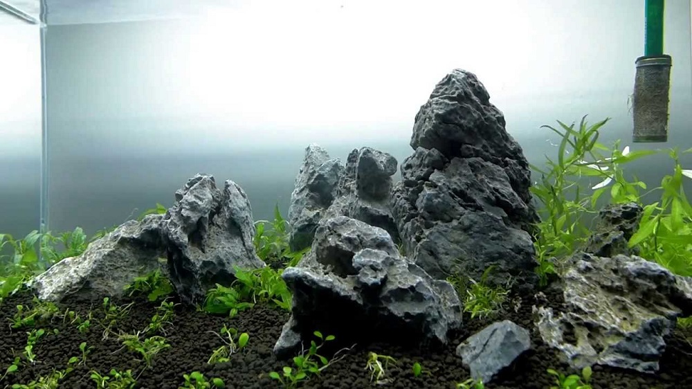 Đá tai mèo thường được dùng trong hồ thuỷ sinh, non bộ...