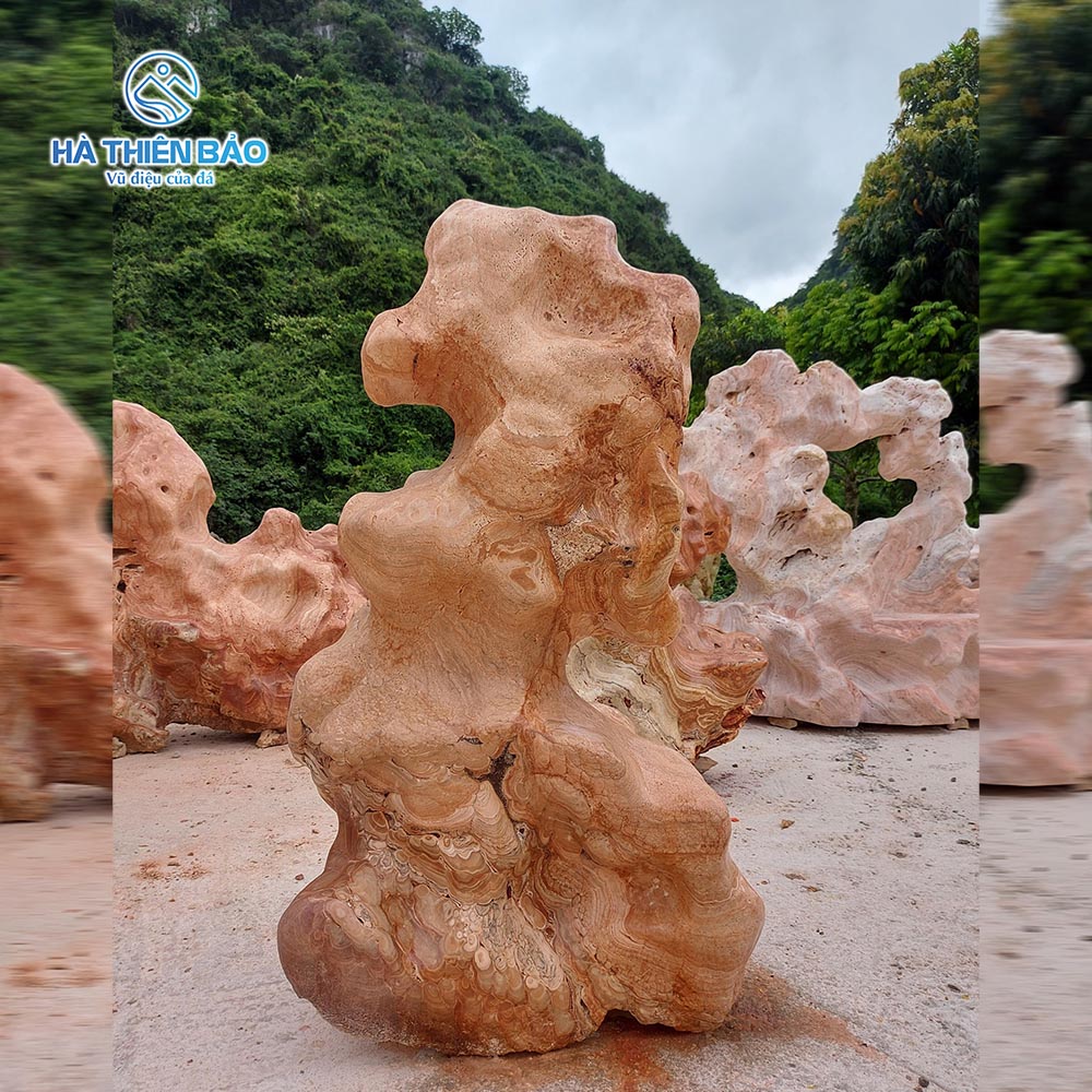 ĐÁ VÂN GỖ - Hình ảnh 4