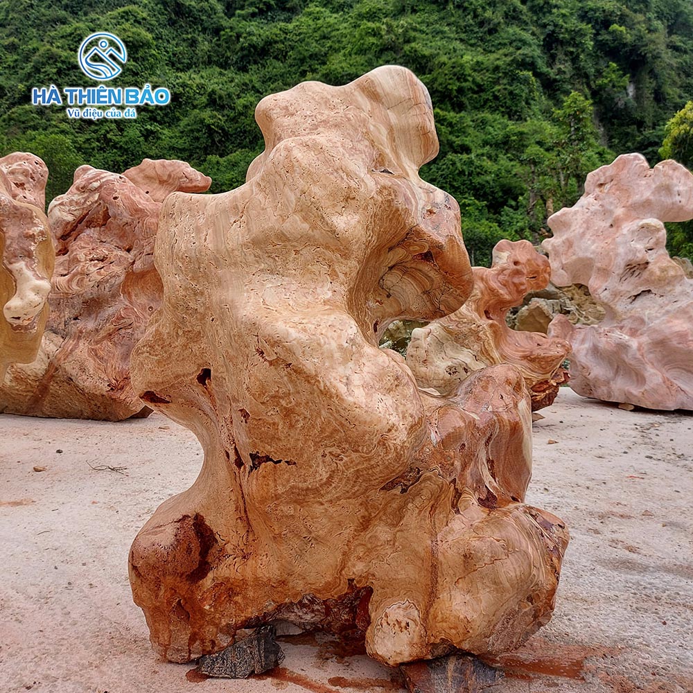 ĐÁ VÂN GỖ - Hình ảnh 3