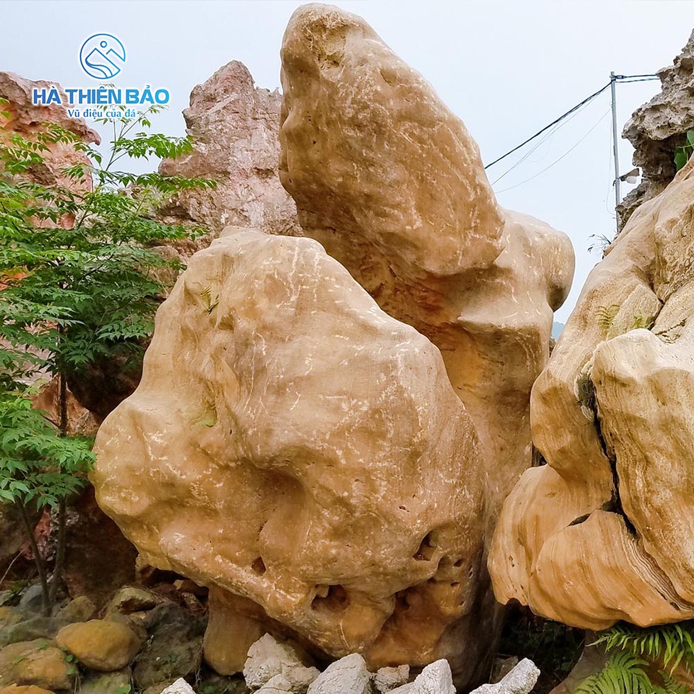 ĐÁ VÂN GỖ - Hình ảnh 2